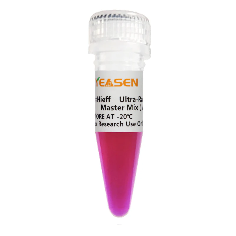 Hieff UNICON™ Universal Blue qPCR Master Mix - 5x 1 mL