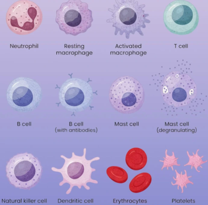 HemogloBind™ Kit (2 mL HemogloBind™ + 20 spin-filter assemblies) - 1 kit (20 preps)