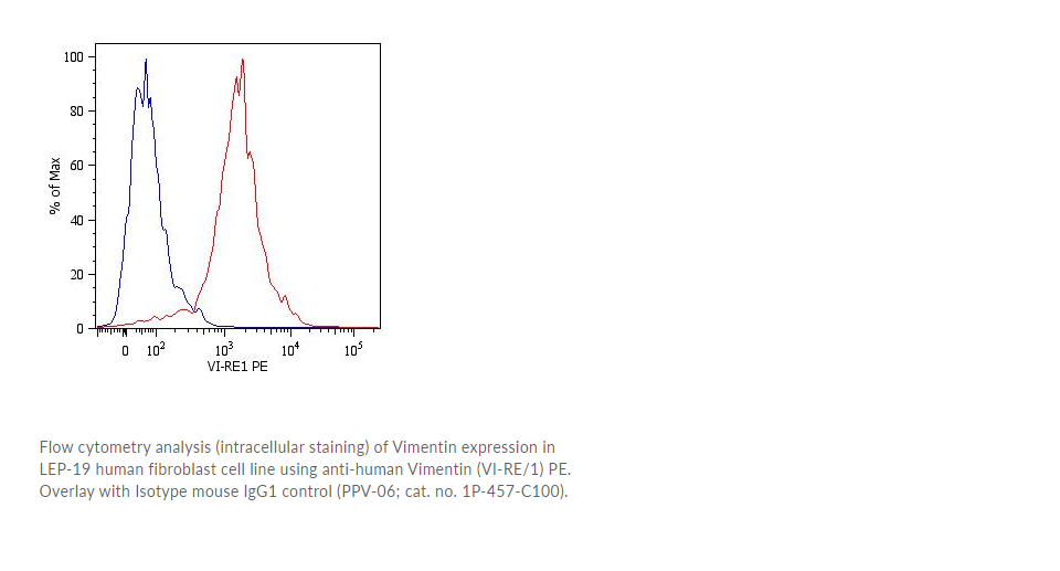 Anti-Vimentin PE, Monoclonal Antibody [Clone: VI-RE/1] - 0.1 mg (Conc. 0.1 mg/ml)