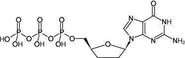 ddGTP - 2',3'-Dideoxyguanosine-5'-triphosphate, Trilithium salt), 5 μmol - 5 x 10 μl
