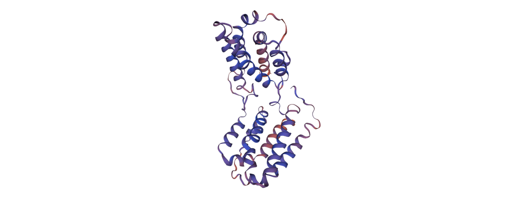 Recombinant Macaca mulatta Interleukin-10 (IL10) - 20 ug
