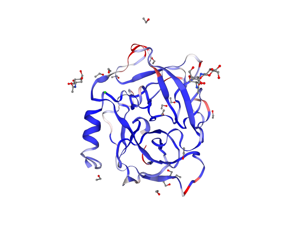 Recombinant Human Azurocidin (AZU) - 50 ug