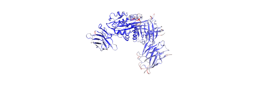 Recombinant Human Plasminogen activator inhibitor 1 (SERPINE1, PAI-1), partial, His-tagged - 20 ug