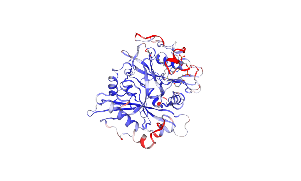 Human NMT1 Recombinant Protein, His-Tag - 500 ug
