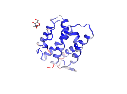 [0399-CSB-EP883391HU-B-100UG] Recombinant Human Interleukin-19 (IL19), Biotinylated - 100 µg