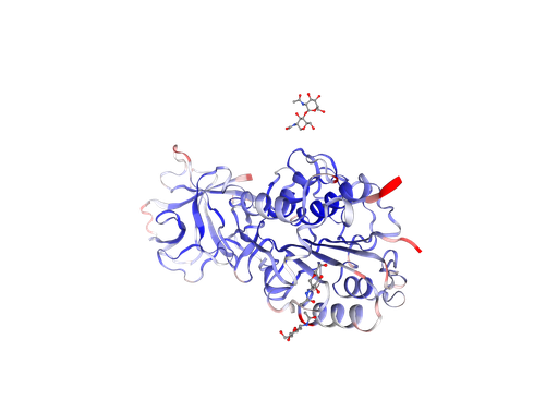 [0399-CSB-EP012903HU-100UG] Recombinant Human Legumain (LGMN) - 100 ug