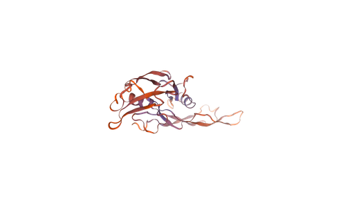 [0399-CSB-EP001666MOa0-03] Recombinant Mouse Muellerian-inhibiting factor (Amh), partial (450-552aa), N-terminal 6xHis-tag, E. coli expression - 1 mg