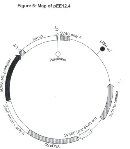 [0820-PVT1803] pEE12.4 Plasmid - 2 ug