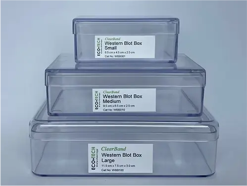 [1070-WBB01010] ClearBand Western Blot Box, Medium (9.5 cm x 4.5 cm x 2.5 cm) - 10 boxes 